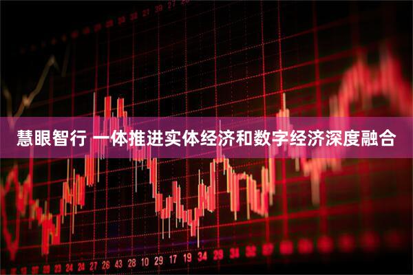 慧眼智行 一体推进实体经济和数字经济深度融合