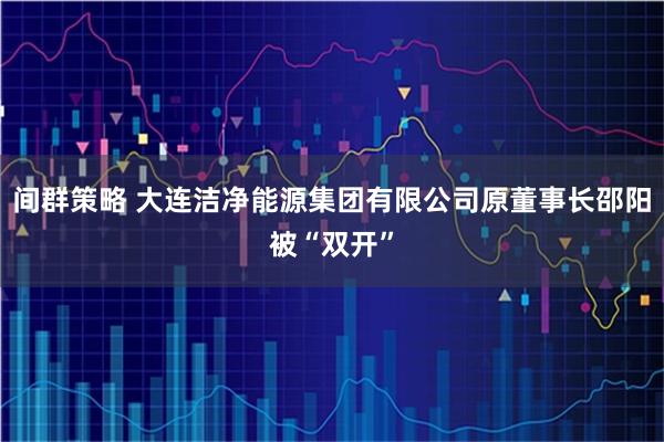 间群策略 大连洁净能源集团有限公司原董事长邵阳被“双开”