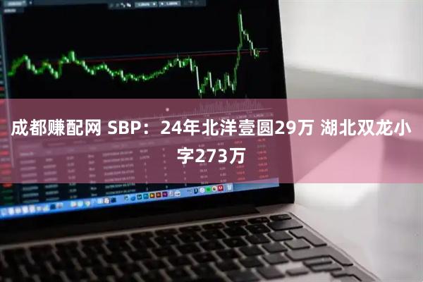 成都赚配网 SBP：24年北洋壹圆29万 湖北双龙小字273万