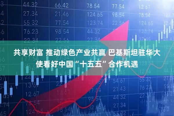 共享财富 推动绿色产业共赢 巴基斯坦驻华大使看好中国“十五五”合作机遇